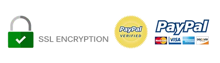 Secure paypal payment